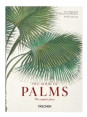 The Book of Palms