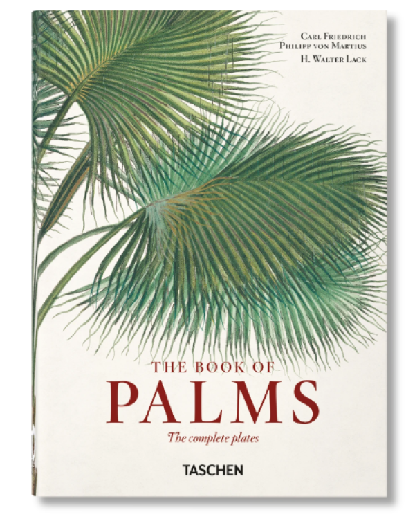 The book of Palms