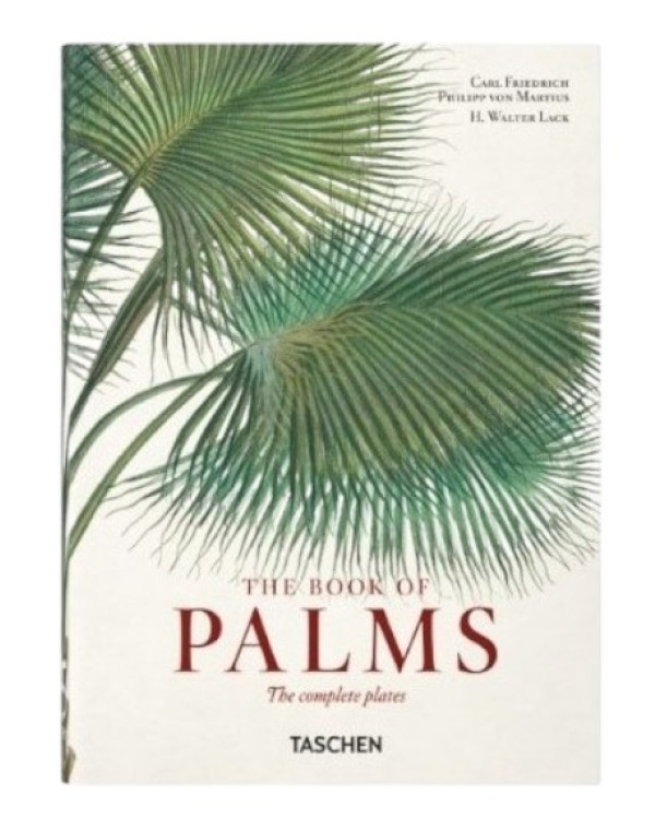 The Book of Palms