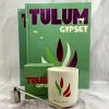 Libro Tulum Gypset