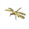 Libélula dorada
