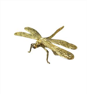 Libélula dorada