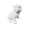 Perro blanco con nariz dorada