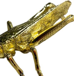 Alternative view of Grillo de metal chico.