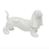 Perro salchicha blanco.