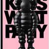 Libro Kaws
