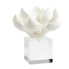 Magnolia con base de cristal.