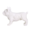 Bull dog