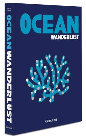 Alternative view of Libro Ocean Wanderlust