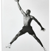 Libro Air Jordan
