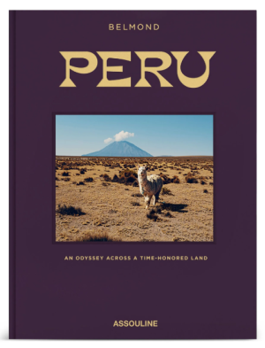 Alternative view of Libro Peru: An Odyssey Across a Time-Honored Land