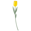 Flor Tulipan de acrílico grande