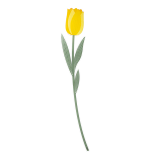 Flor Tulipan de acrílico grande