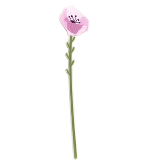 Flor Petunia de acrílico grande
