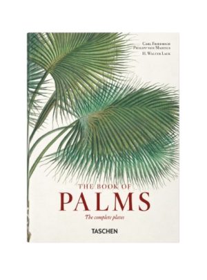 The book of Palms 40th