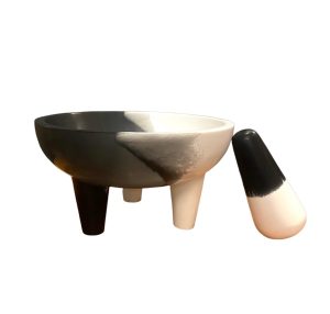 Alternative view of Molcajete bicolor